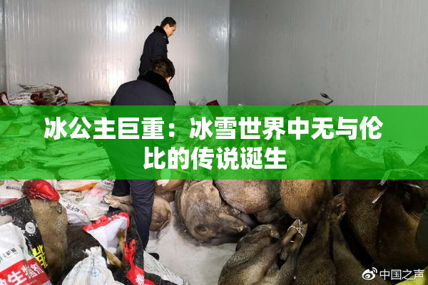 冰公主巨重：冰雪世界中无与伦比的传说诞生