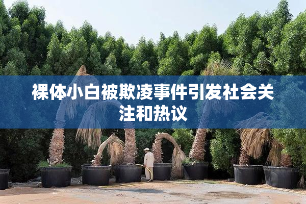 裸体小白被欺凌事件引发社会关注和热议