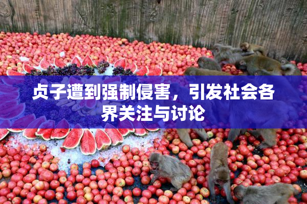 贞子遭到强制侵害，引发社会各界关注与讨论