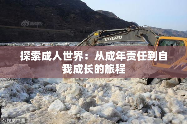 探索成人世界：从成年责任到自我成长的旅程
