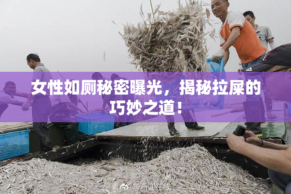 女性如厕秘密曝光，揭秘拉屎的巧妙之道！