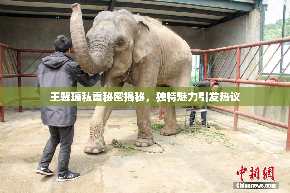 王馨瑶私重秘密揭秘，独特魅力引发热议