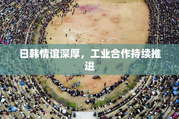 日韩情谊深厚，工业合作持续推进