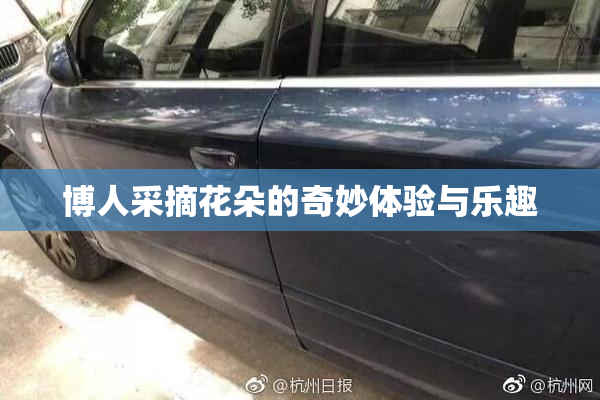 博人采摘花朵的奇妙体验与乐趣