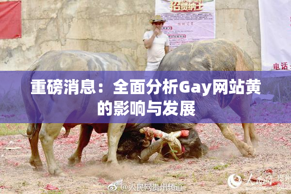 重磅消息：全面分析Gay网站黄的影响与发展