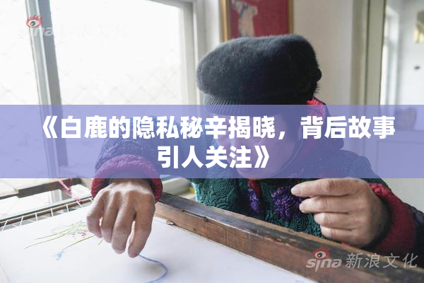 《白鹿的隐私秘辛揭晓，背后故事引人关注》