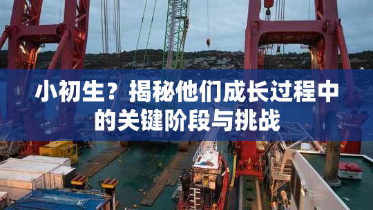 小初生？揭秘他们成长过程中的关键阶段与挑战
