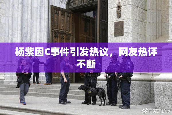 杨紫因C事件引发热议，网友热评不断