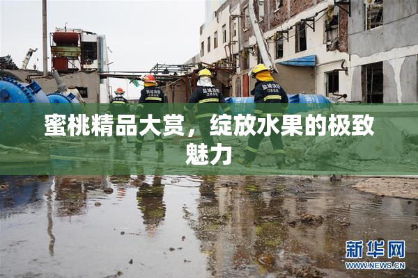 蜜桃精品大赏，绽放水果的极致魅力
