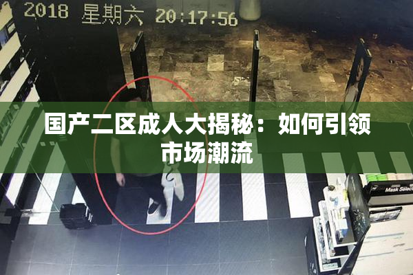 国产二区成人大揭秘：如何引领市场潮流