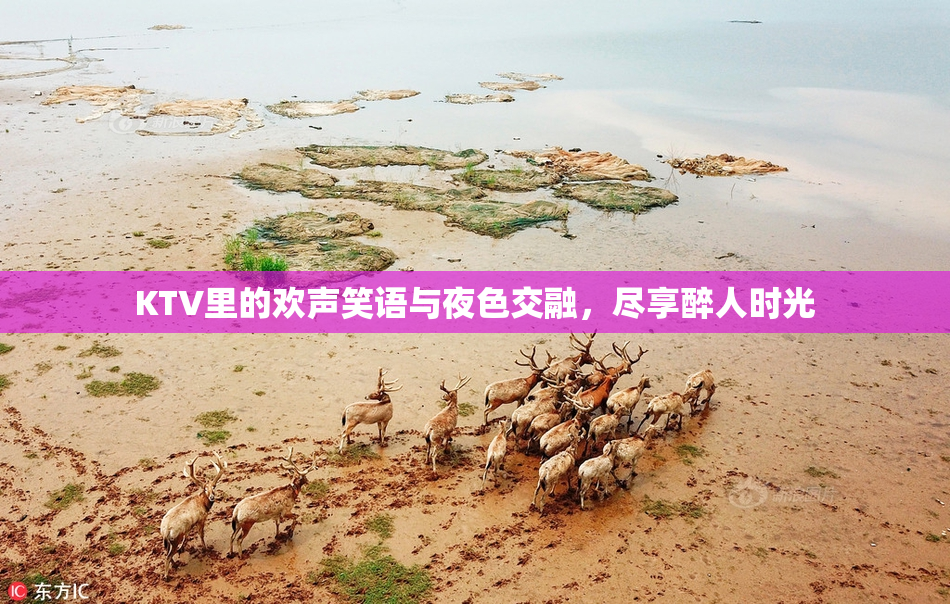 KTV里的欢声笑语与夜色交融，尽享醉人时光
