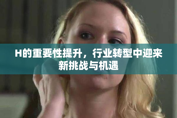H的重要性提升，行业转型中迎来新挑战与机遇