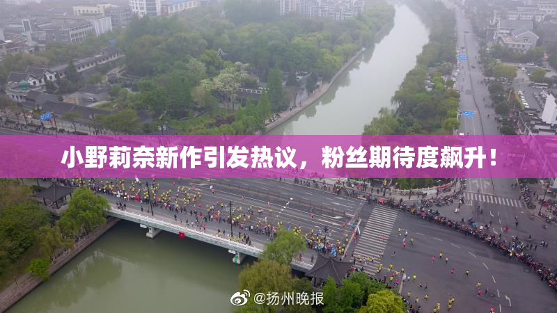 小野莉奈新作引发热议，粉丝期待度飙升！