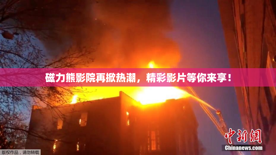 磁力熊影院再掀热潮，精彩影片等你来享！