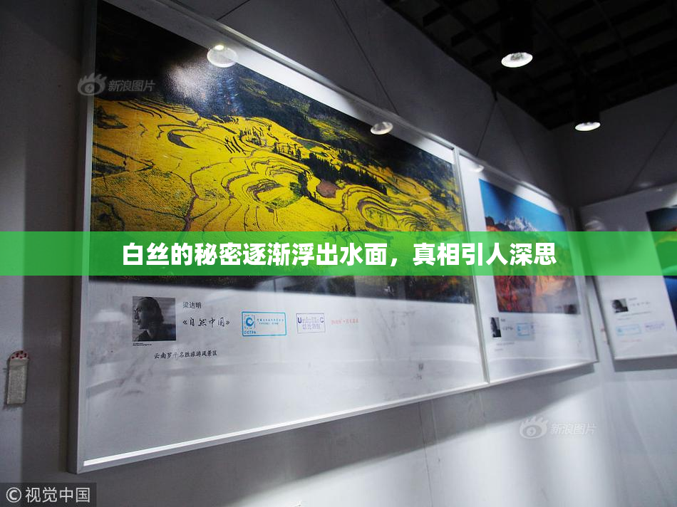 白丝的秘密逐渐浮出水面，真相引人深思