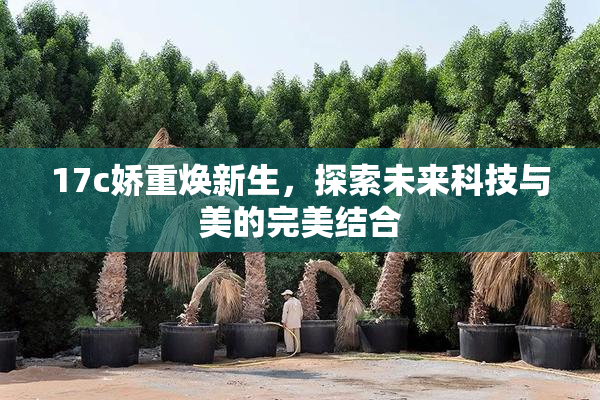 17c娇重焕新生，探索未来科技与美的完美结合