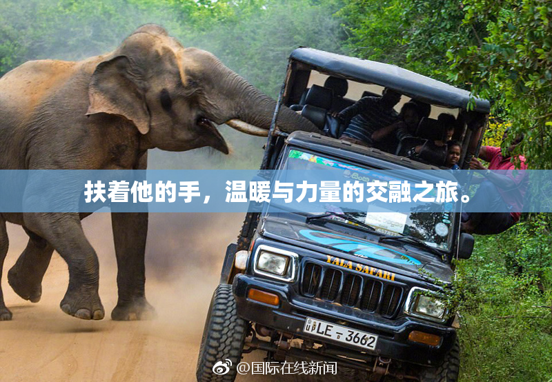 扶着他的手，温暖与力量的交融之旅。