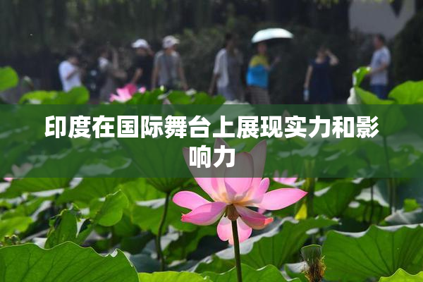 印度在国际舞台上展现实力和影响力
