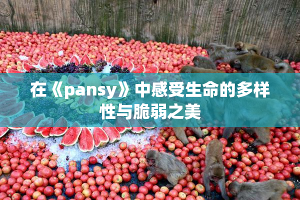 在《pansy》中感受生命的多样性与脆弱之美