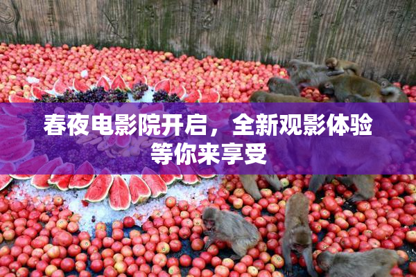 春夜电影院开启，全新观影体验等你来享受