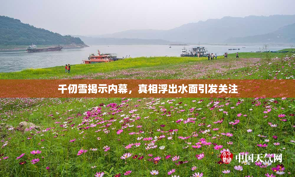千仞雪揭示内幕，真相浮出水面引发关注