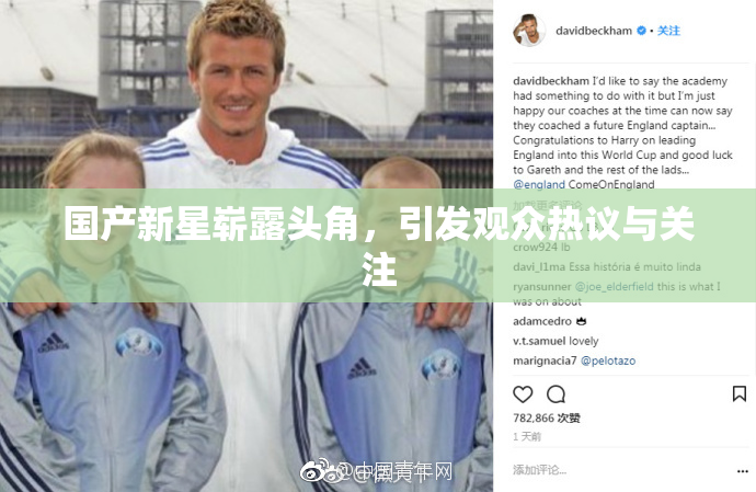 国产新星崭露头角，引发观众热议与关注