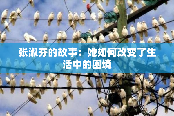 张淑芬的故事：她如何改变了生活中的困境