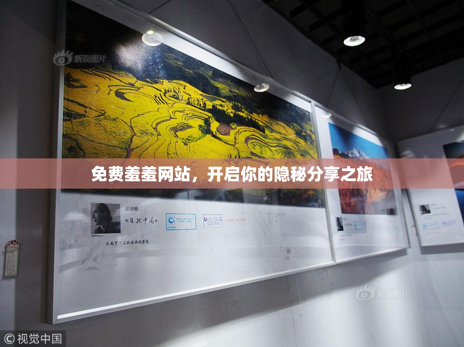 免费羞羞网站，开启你的隐秘分享之旅