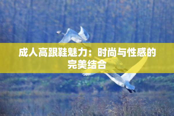 成人高跟鞋魅力：时尚与性感的完美结合