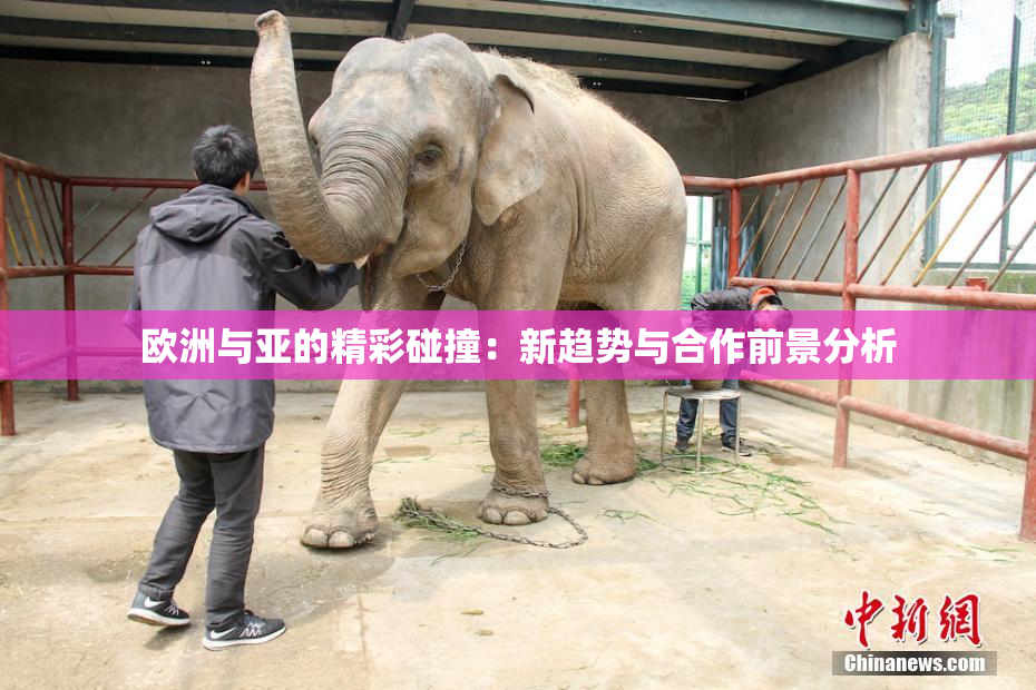 欧洲与亚的精彩碰撞：新趋势与合作前景分析