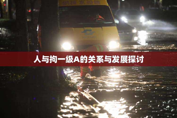 人与拘一级A的关系与发展探讨