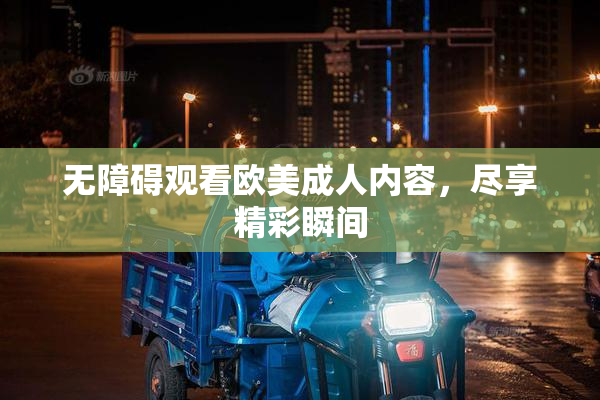 无障碍观看欧美成人内容，尽享精彩瞬间