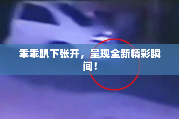 乖乖趴下张开，呈现全新精彩瞬间！