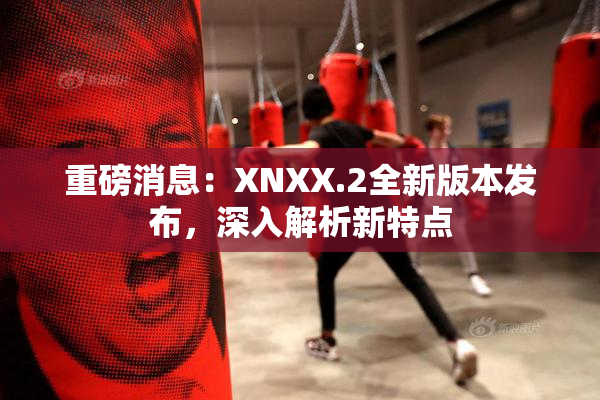 重磅消息：XNXX.2全新版本发布，深入解析新特点