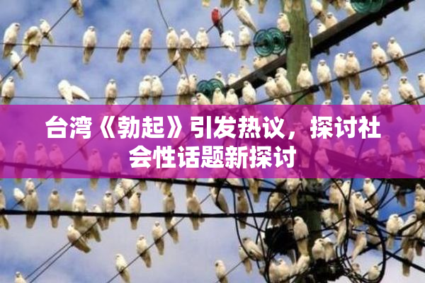台湾《勃起》引发热议，探讨社会性话题新探讨