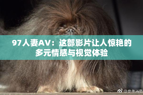 97人妻AV：这部影片让人惊艳的多元情感与视觉体验