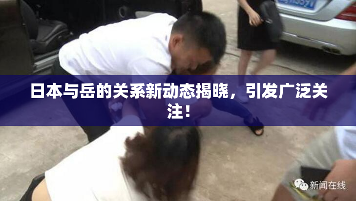 日本与岳的关系新动态揭晓，引发广泛关注！