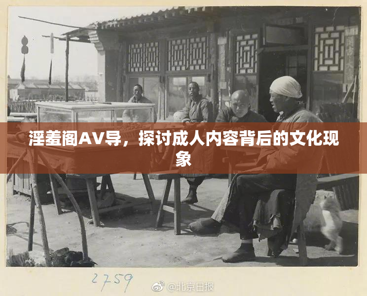 淫羞阁AV导，探讨成人内容背后的文化现象