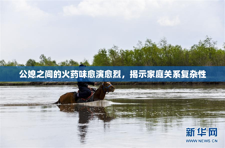 公媳之间的火药味愈演愈烈，揭示家庭关系复杂性