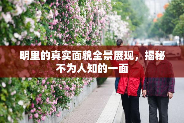 明里的真实面貌全景展现，揭秘不为人知的一面