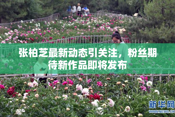 张柏芝最新动态引关注，粉丝期待新作品即将发布