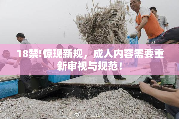18禁!惊现新规，成人内容需要重新审视与规范！