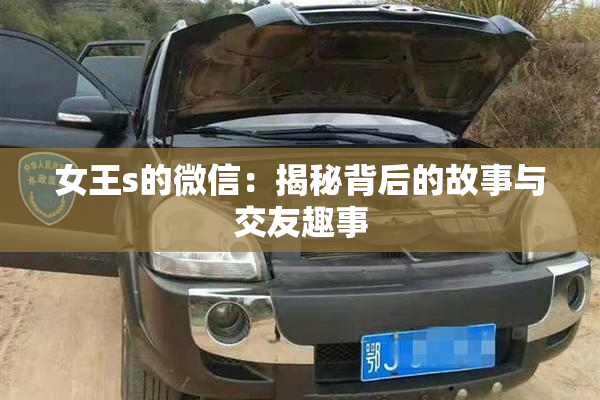 女王s的微信：揭秘背后的故事与交友趣事