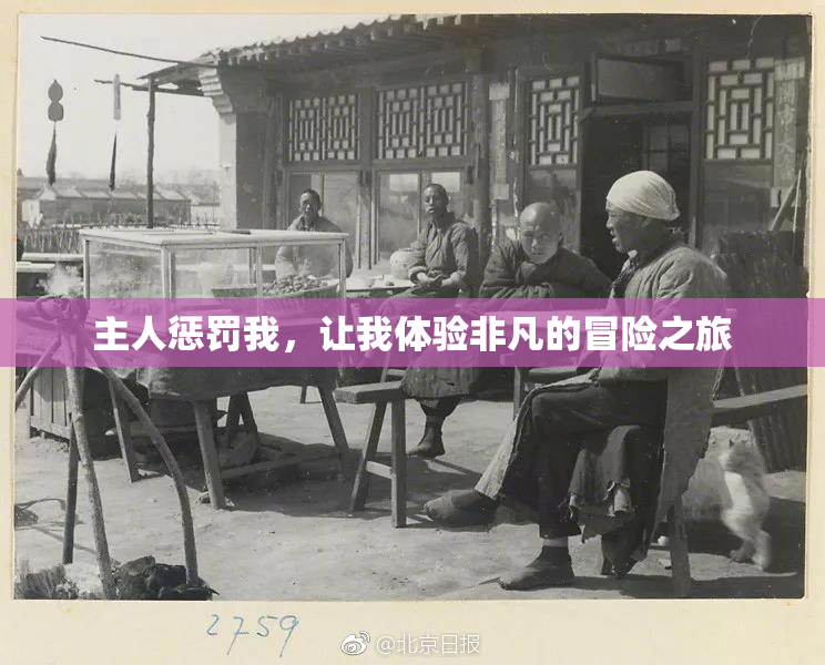 主人惩罚我，让我体验非凡的冒险之旅