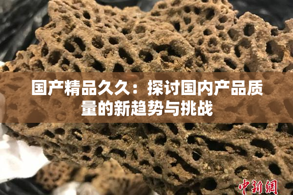 国产精品久久：探讨国内产品质量的新趋势与挑战