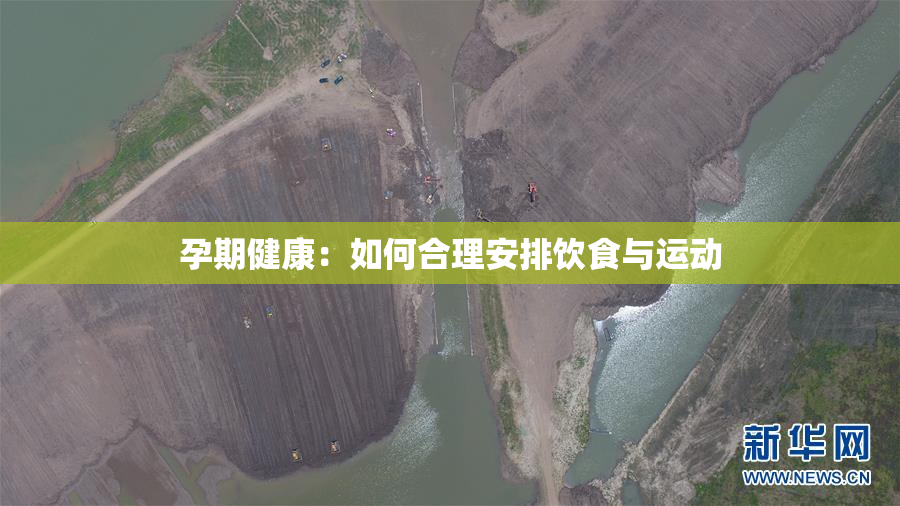 孕期健康：如何合理安排饮食与运动