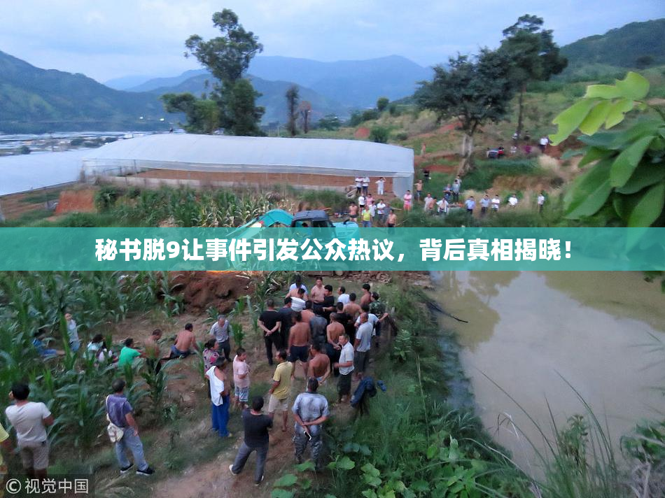 秘书脱9让事件引发公众热议，背后真相揭晓！