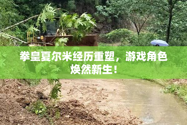 拳皇夏尔米经历重塑，游戏角色焕然新生！