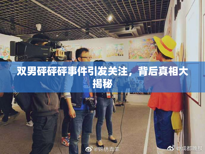 双男砰砰砰事件引发关注，背后真相大揭秘
