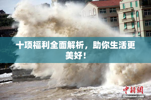 十项福利全面解析，助你生活更美好！